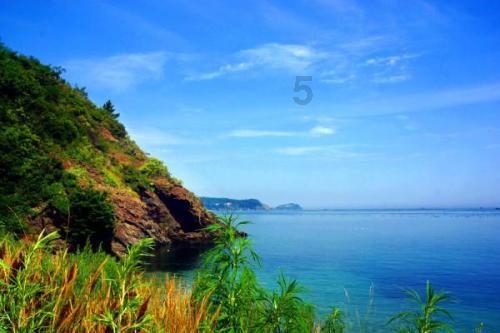 虫虫助手下载