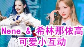 小猫钓鱼游戏龙王版有船