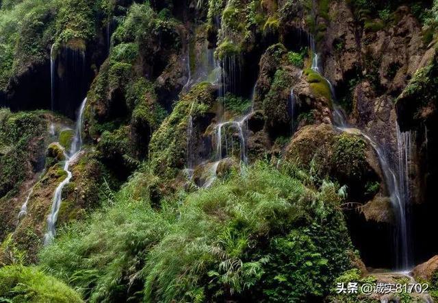 脑洞小老弟无实名认证